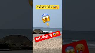 शार्क दिख गई शार्क वाला बीच 😱  Shark Attack  Shark Tank  Beach shorts viralvideo trending yt [upl. by Durkin]