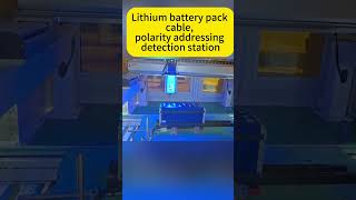 Lithium battery pack line polarity addressing detection station [upl. by Norri]