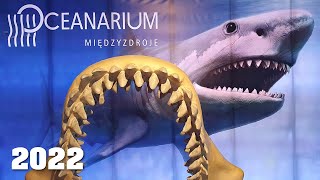 Oceanarium Międzyzdroje 2022  Warto odwiedzić jak jesteś nad morzem na Urlopie 4K Film [upl. by Myrah129]