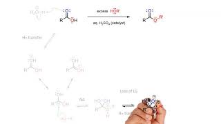 Fischer Esterification mechanism [upl. by Yknip]