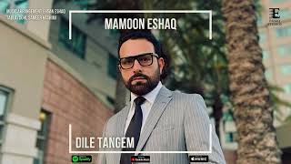 Mamoon Eshaq  Dile Tangem Mahali Mix 2023 [upl. by Reggi]