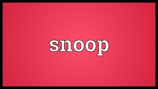 Snoop Meaning [upl. by Rasla]