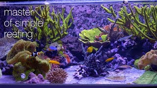 Amazing Aquariums amp Reefs Lives Up To Its Name [upl. by Vincentia]