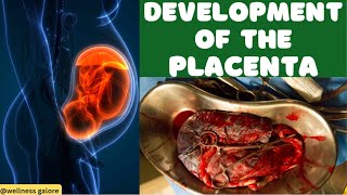 How the Placenta Develops and Functions During Labor and Delivery  Embryology Explained [upl. by Milewski]