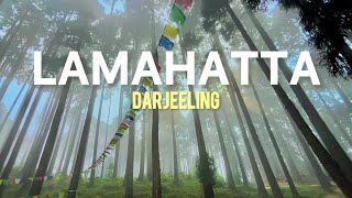 Lamahatta Darjeeling  lepchajagat lamahatta darjeeling [upl. by Allana]