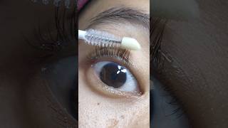 Lash Serums Grandelash vs The Ordinary vs Olaplex amp the Science behind them [upl. by Hsevahb]