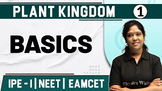 PLANT KINGDOM 01  Basics  Botany  Class 11NEETEAMCET [upl. by Eisac]