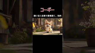 犬の種類コーギーの紹介 [upl. by Imhsar]