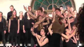 Jugendchor Vivo der Musikschule Basel Caramba Sapperlott EJCF Basel 2016 [upl. by Hayilaa]