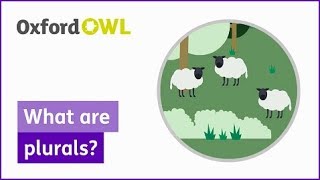 What are plurals  Oxford Owl [upl. by Attennot165]