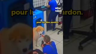 L’erreur de ce chien a finalement créé quelque chose de pur [upl. by Roinuj37]