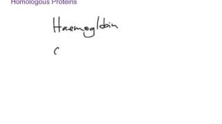 Homologous Proteins [upl. by Radmen]