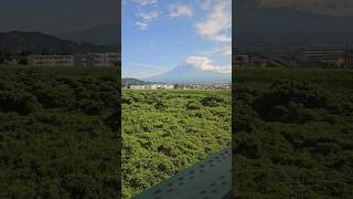 【絶景！】東海道線から見る富士山【東海道本線富士川の鉄橋】Mount Fuji from JR Tokaido Line 鉄道 鉄道風景 [upl. by Morganstein365]