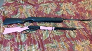 DAISY MODEL 1999 amp WINCHESTER 1100S 177 AIR RIFLE REVIEW A DOUBLE FEATURE [upl. by Other299]