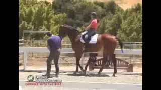 Dressage training with Alfredo Hernandez Piaffe and Passage Focus [upl. by Eiramanit192]