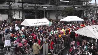 Sagamihara Sakura Festival Dance ～ 相模原桜まつり 1000人フォーチュンクッキー AKB [upl. by Ferwerda405]