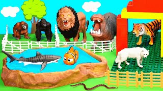 Safari Animal Toy Playset with Fun Wild Animal Figurines [upl. by Garrik809]