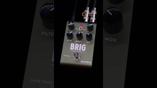 strymon  BRIG quotmulti modequot  Strato  ペダルの違いがわかる動画  中古楽器専門店 Qsic [upl. by Nilya]