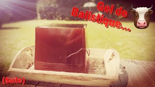 Gel de Boeuf Balistique suite [upl. by Llerehc]