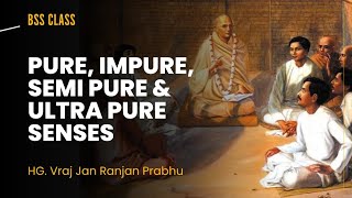 Pure Impure Semi Pure amp Ultra Pure senses  Vraj Jan Ranjan Das  04102024 [upl. by Rufus265]