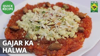 Gajar Ka Halwa  Quick Recipe  Masala TV [upl. by Htebizile]