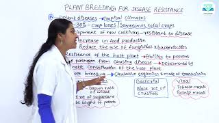 BIOLOGY 9 6 1 PLANT BREEDING FOR DISEASE RESISTANCE [upl. by Marilyn]