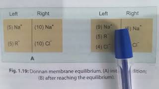 DONNAN MEMBRANE EQUILIBRIUM [upl. by Dev21]