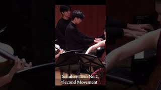 An excerpt of Schuberts ghostly second movement Trio No2 [upl. by Ayikin259]