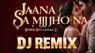 Bhool Bhulaiyaa 3 Jaana Samjho Na Dj Remix Song Zee Gold Music [upl. by Lizzy906]