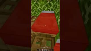 Subscribe me minecraft майнкрафт shorts [upl. by Erdrich]