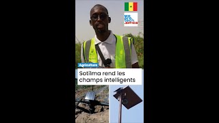 🌾📱 Sotilma  LAppareil qui Connecte les Champs et Révolutionne lAgriculture au Sénégal  🇸🇳🚀 [upl. by Glantz918]