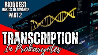 Transcription in Prokaryotes  Part 2  Transcription  CSIR NET December 2024  Basics to Advance [upl. by Svoboda]