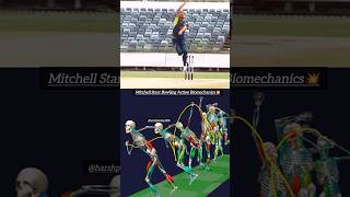 Mitchell Starc Bowling Action 💥✔️cricket fastbowling bowlingaction mitchellstarc youtubeshorts [upl. by Unni614]