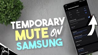 How to Temporary Mute on Samsung Phones [upl. by Ydnim]