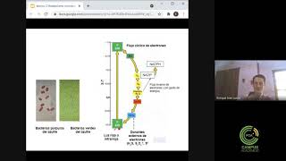 Metabolismo Microbiano  Clase 2 Parte 7 [upl. by Naesed246]