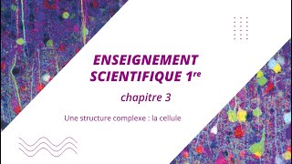 1 La diversité des cellules  Thème  Organisation fonctionnelle de la cellule [upl. by Eiclehc267]