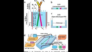 Electroforesis de proteinas [upl. by Lebasy]