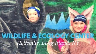 Small Long Island “Zoo” Wildlife amp Ecology Center  Holtsville Long Island NY [upl. by Ayikal]