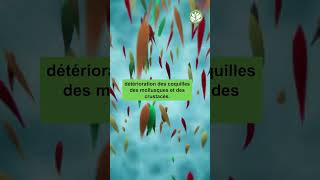 Une 7ème limite planétaire sur l’acidification des océans est en passe d’être franchie [upl. by Haveman]