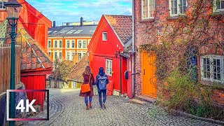 Exploring DAMSTREDET Old Town in OSLO I 4K [upl. by Nahk]