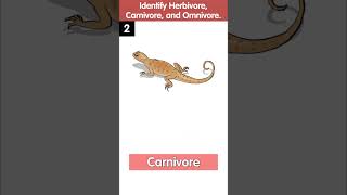 Identify the Herbivores Carnivores and Omnivores  Quiz Time  Science Quiz for Kids [upl. by Woolley]