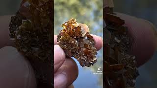 Wulfenite flowergemstone fineminerals wulfenite mineralspecimen [upl. by Averell]