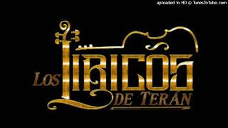 LOS LIRICOS DE TERAN Cumbias [upl. by Aleehs]