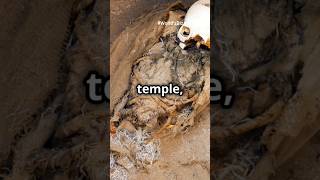 Secrets of the Sicán Tomb Ancient Perus Mystical Burial Practices WorldsBizzareHistory shorts [upl. by Salem]