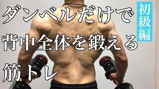 ダンベルのみで背中を鍛える筋トレ！初心者さんにオススメ背中トレーニング [upl. by Neira]