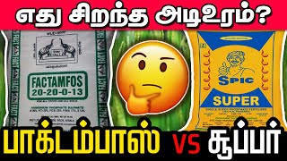 பாக்டம்பாஸ் amp SSP க்கு இடையே உள்ள வித்தியாசம் என்ன  FACTAMFOS vs SSP Fertilizer TCG [upl. by Assek]