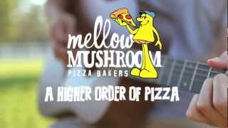 Mellow Mushroom Song [upl. by Casaleggio761]