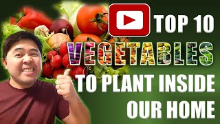 TOP 10 VEGETABLES TO PLANT INSIDE OUR HOME [upl. by Aryk]