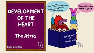 Development of the Atria  Atrial Septum  Development of the Heart  Part 23  Cardiac Embryology [upl. by Larual327]