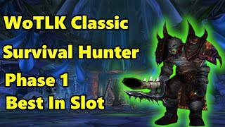 WoTLK Classic  Survival Hunter Phase 1 BiS [upl. by Anertak]